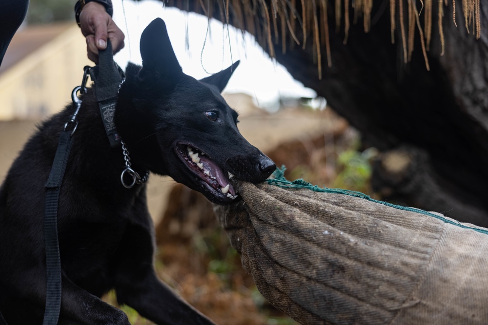 MWD Training