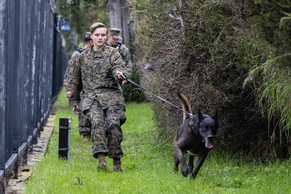 MWD Training