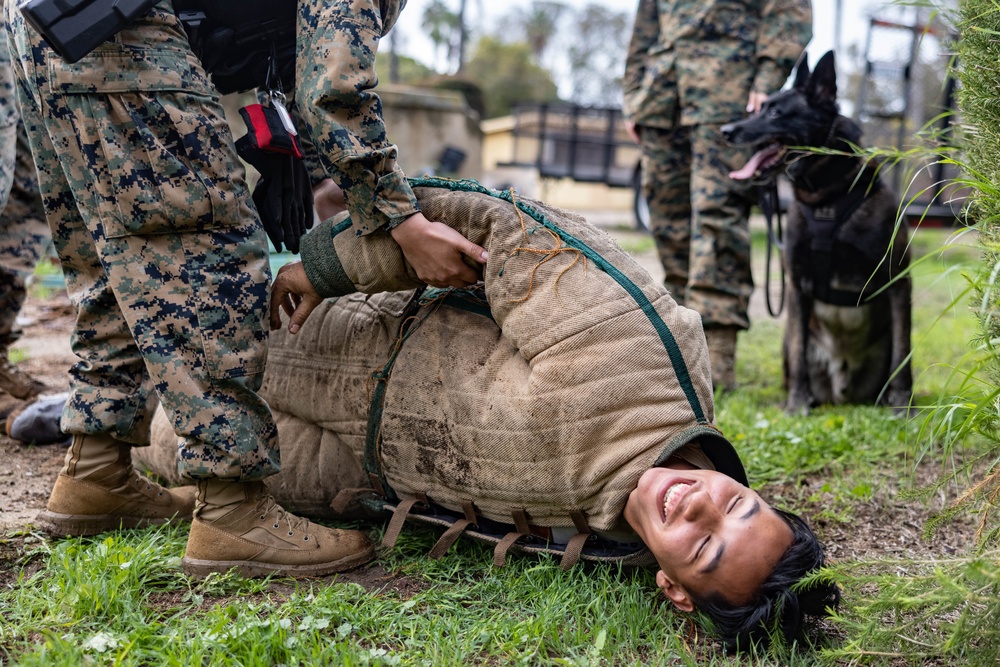 MWD Training