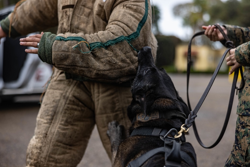 MWD Training