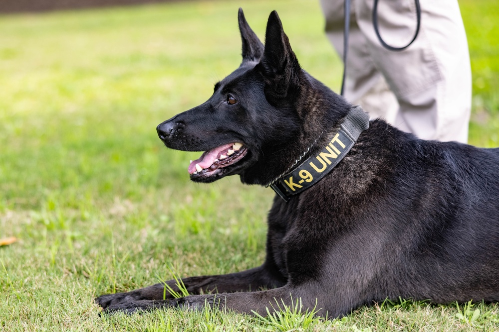 MWD Training