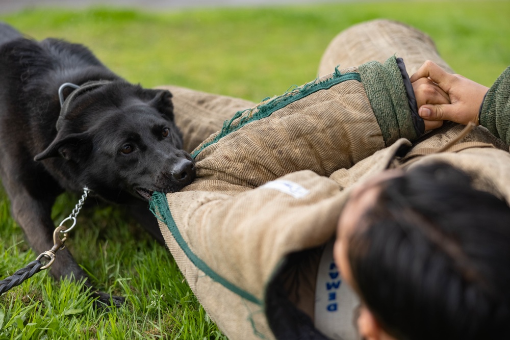 MWD Training