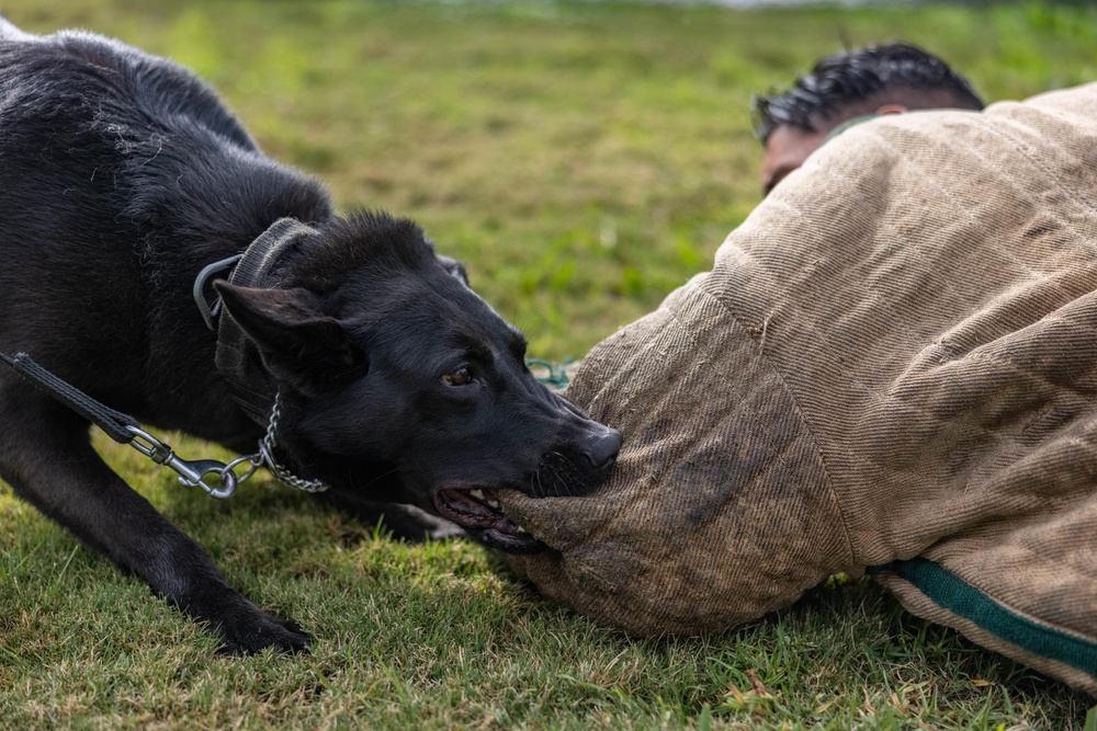 MWD Training