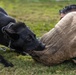 MWD Training