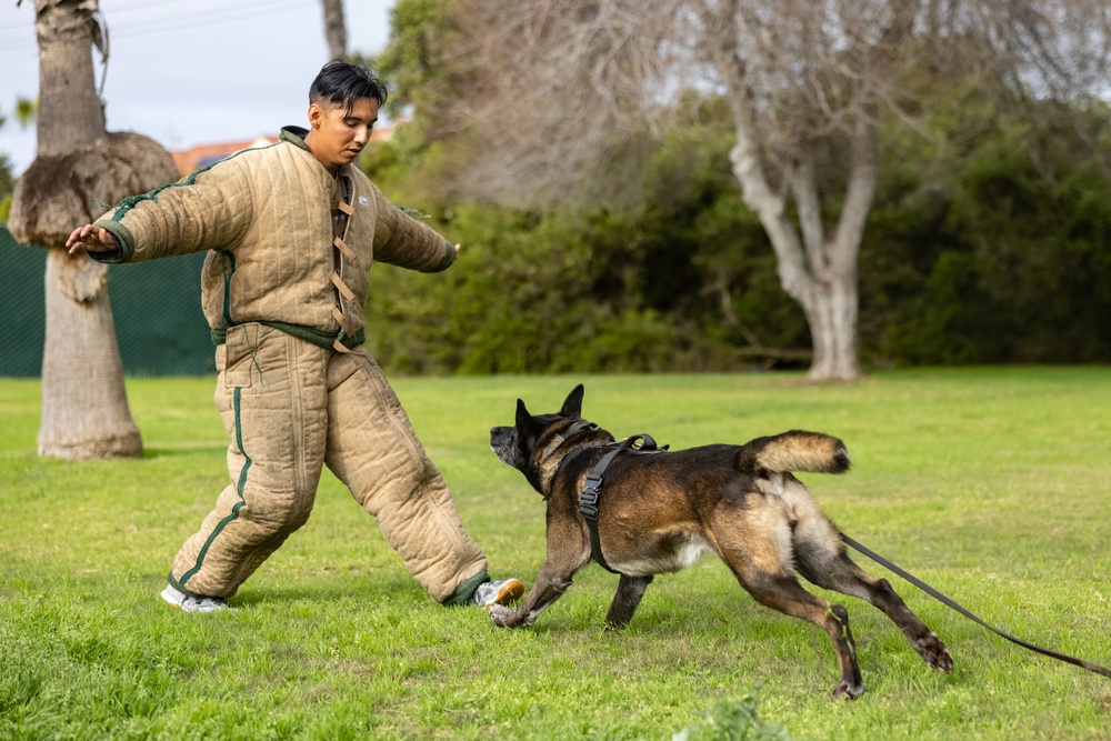 MWD Training