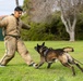 MWD Training