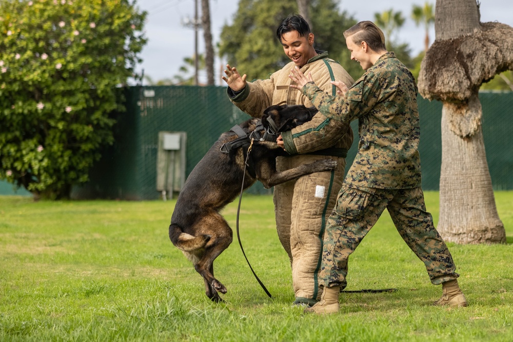 MWD Training