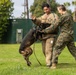 MWD Training