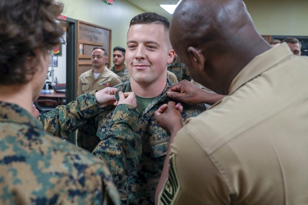 DVIDS - Images - Staff Sgt. Nicholas Promotion Ceremony [Image 2 Of 3]