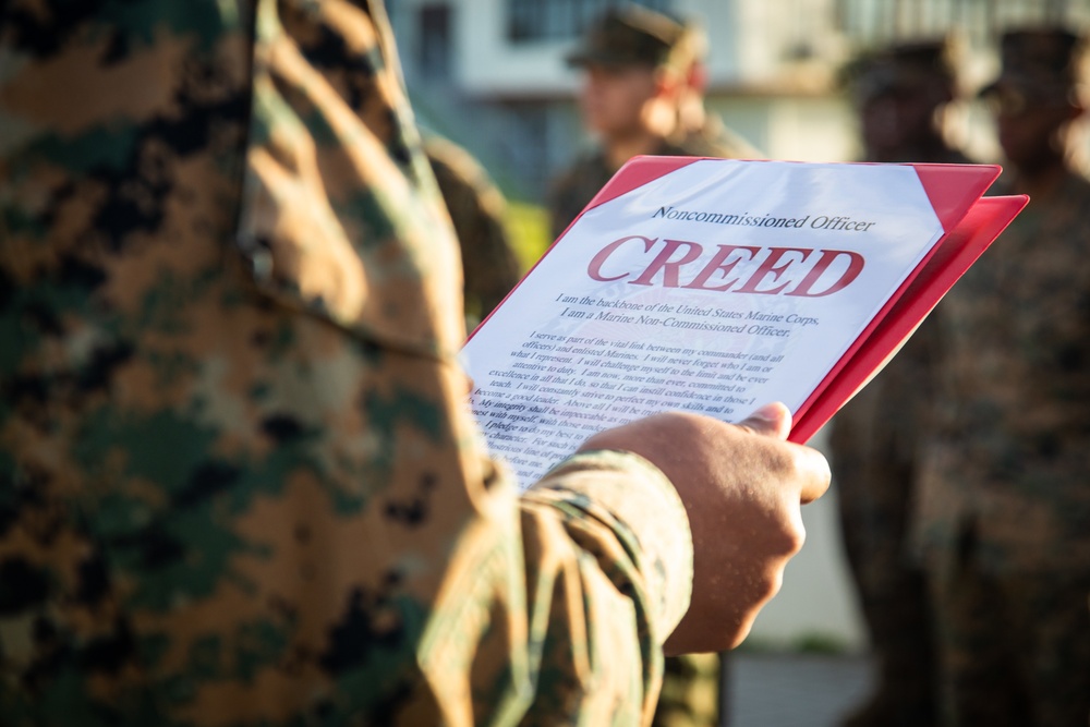 Lance Cpl. Emmanuel T. Payne Jr. Promotion Ceremony
