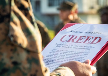 Lance Cpl. Emmanuel T. Payne Jr. Promotion Ceremony