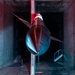 16-foot transonic wind tunnel tested with standard model