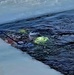 Firefighters on installation fire department dive team participate in ice rescue training at frozen lake at Fort McCoy