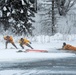 JBER firefighters conduct ice rescue training