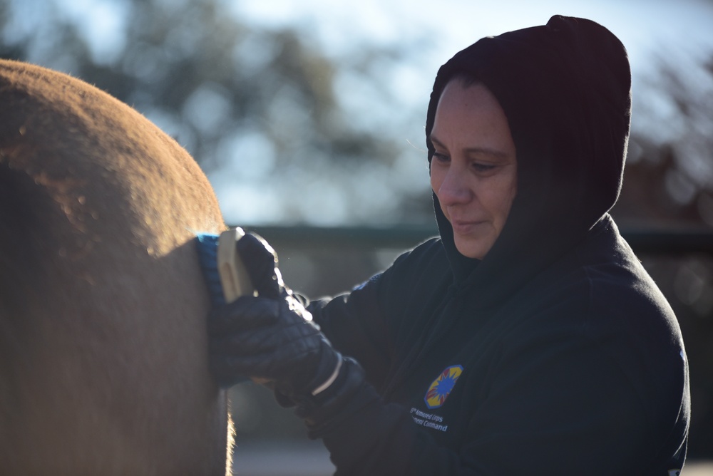 13th ESC's horseback riding retreat