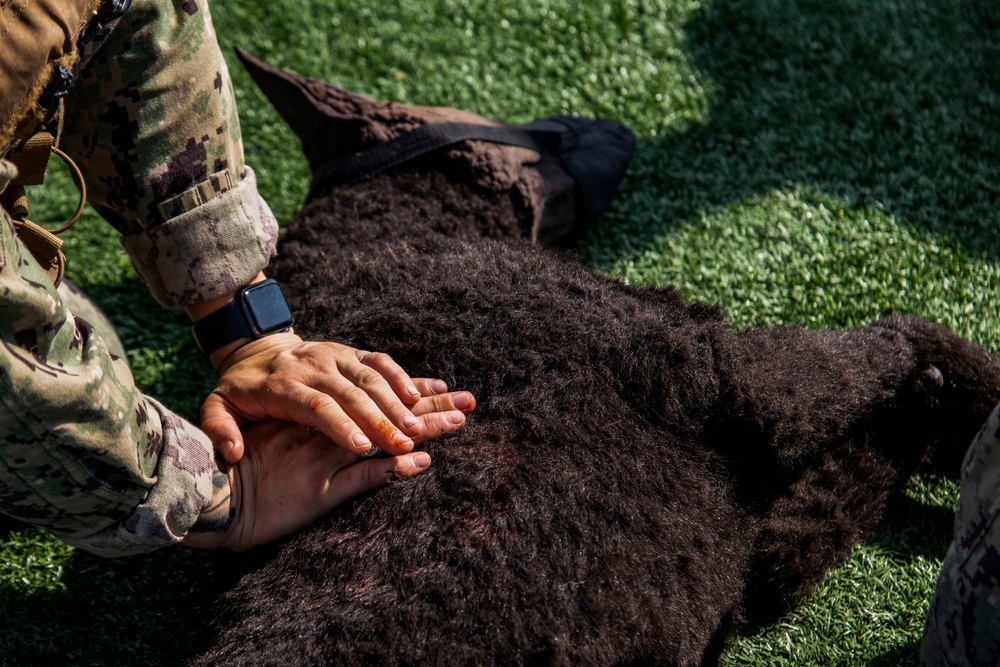 Military Working Dog handlers practice Tactical Combat Casualty Care to save partners’ lives