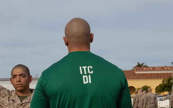 Delta Company mcmap test