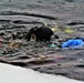 Firefighters on installation fire department dive team participate in ice rescue training at frozen lake at Fort McCoy