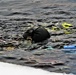 Firefighters on installation fire department dive team participate in ice rescue training at frozen lake at Fort McCoy