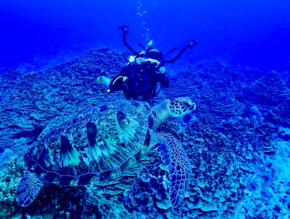 Lt. j.g. Deborah King diving on Guam