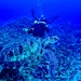 Lt. j.g. Deborah King diving on Guam