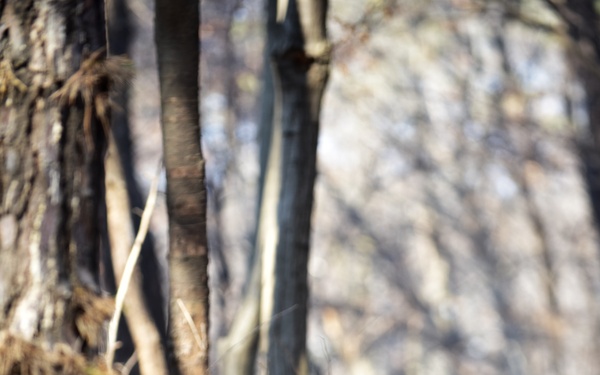 2nd ID Best EOD Competition