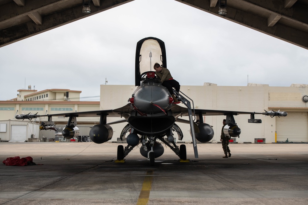 Falcons join Raptors and Eagles at KAB