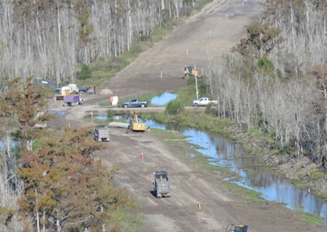 New Orleans Corps of Engineers diligent in protecting bald eagles, wildlife in project areas