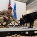 319th Security Forces Squadron military working dog retires to a civilian couch