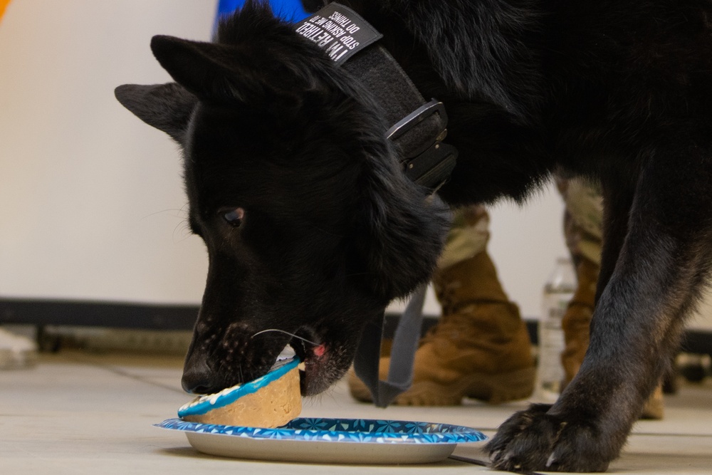 319th Security Forces Squadron military working dog retires to a civilian couch