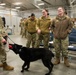319th Security Forces Squadron military working dog retires to a civilian couch
