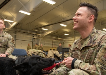 319th Security Forces Squadron military working dog retires to a civilian couch
