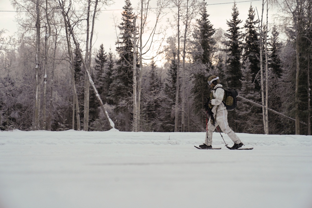 Alaska Army Guard aviators train with Special Tactics Airmen