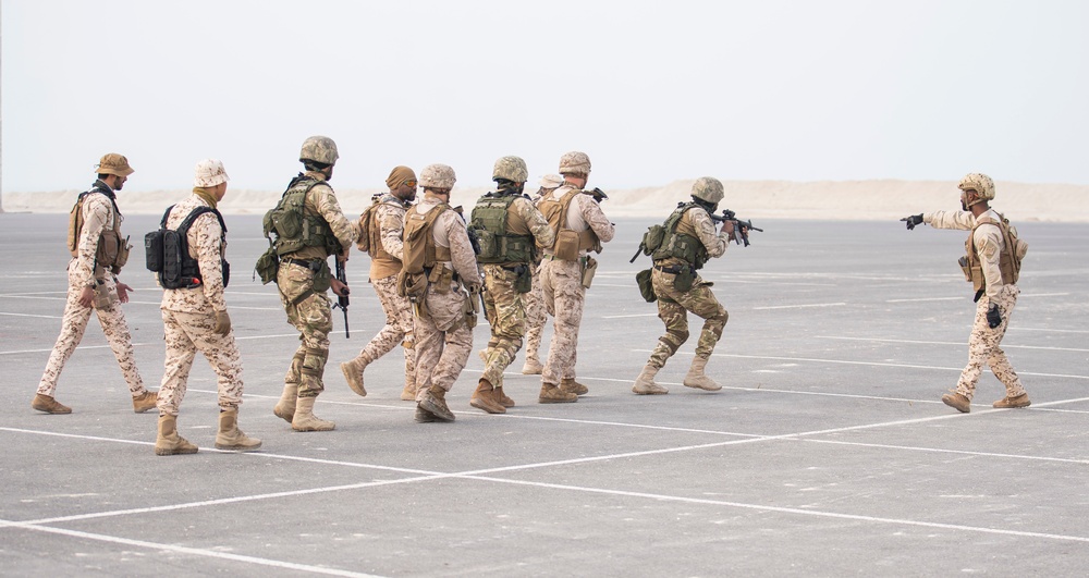 Exercise Neon Defender 23 bilateral training