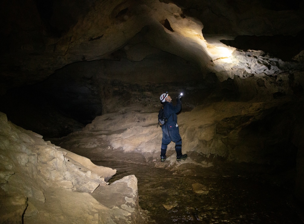 AEDC team members assist with bat research