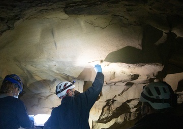 AEDC team members assist with bat research