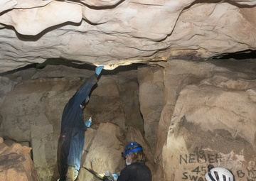 AEDC team members assist with bat research
