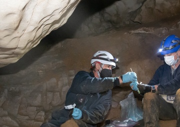 AEDC team members assist with bat research