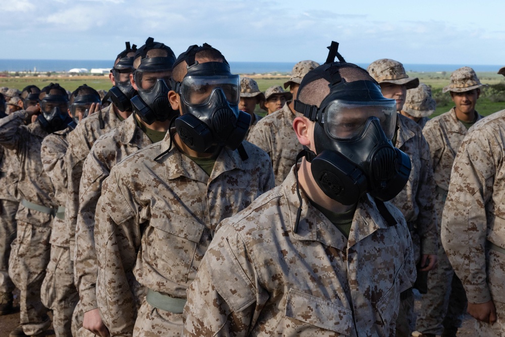 Delta Company confidence chamber