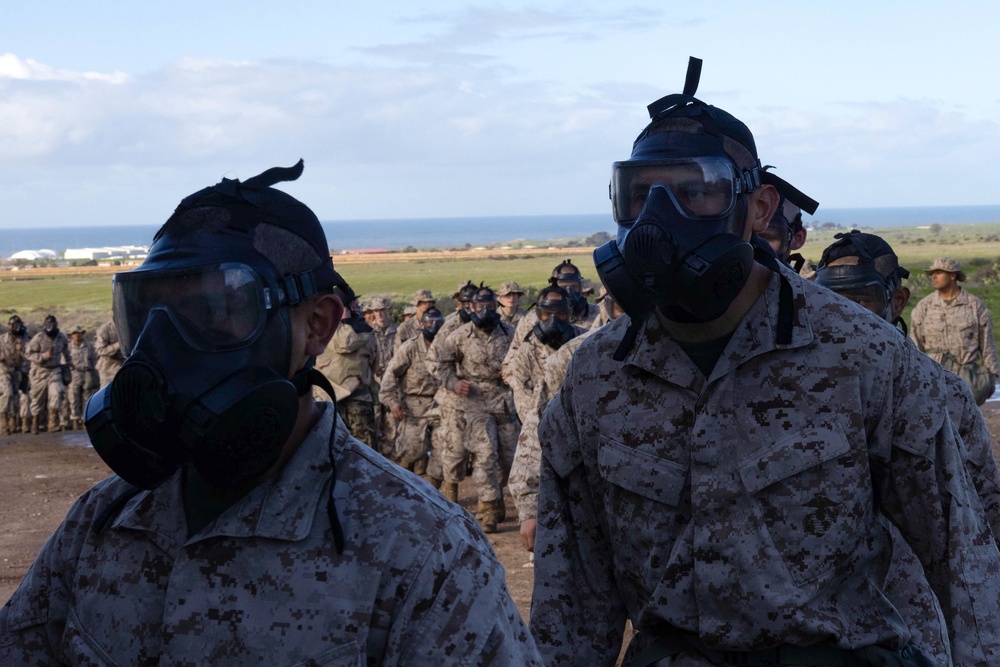 Delta Company confidence chamber