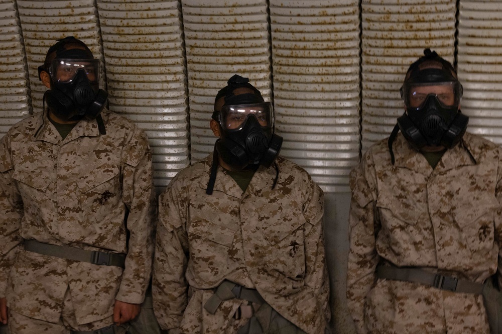 Delta Company confidence chamber