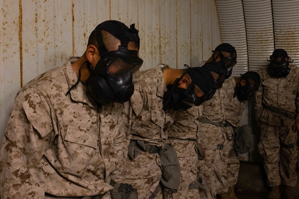 Delta Company confidence chamber