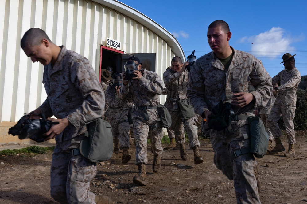 Delta Company confidence chamber