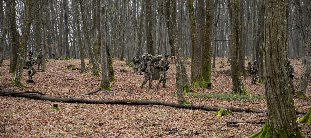 39th BEB conducts Exercise Bull Fury