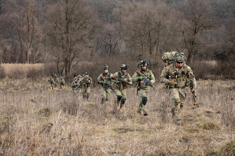 39th BEB conducts Exercise Bull Fury