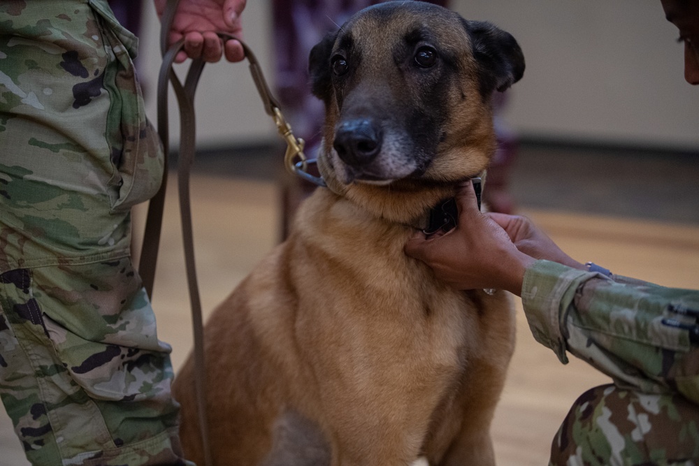 MWD retires, moves to furever home