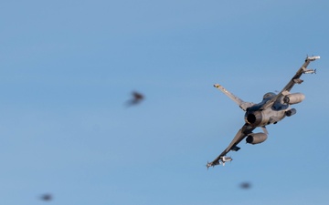 309th Fighter Squadron takes flight