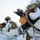 24 SOW 'D-Cell' hones arctic capabilities