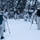 24 SOW 'D-Cell' hones arctic capabilities