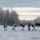 24 SOW 'D-Cell' hones arctic capabilities
